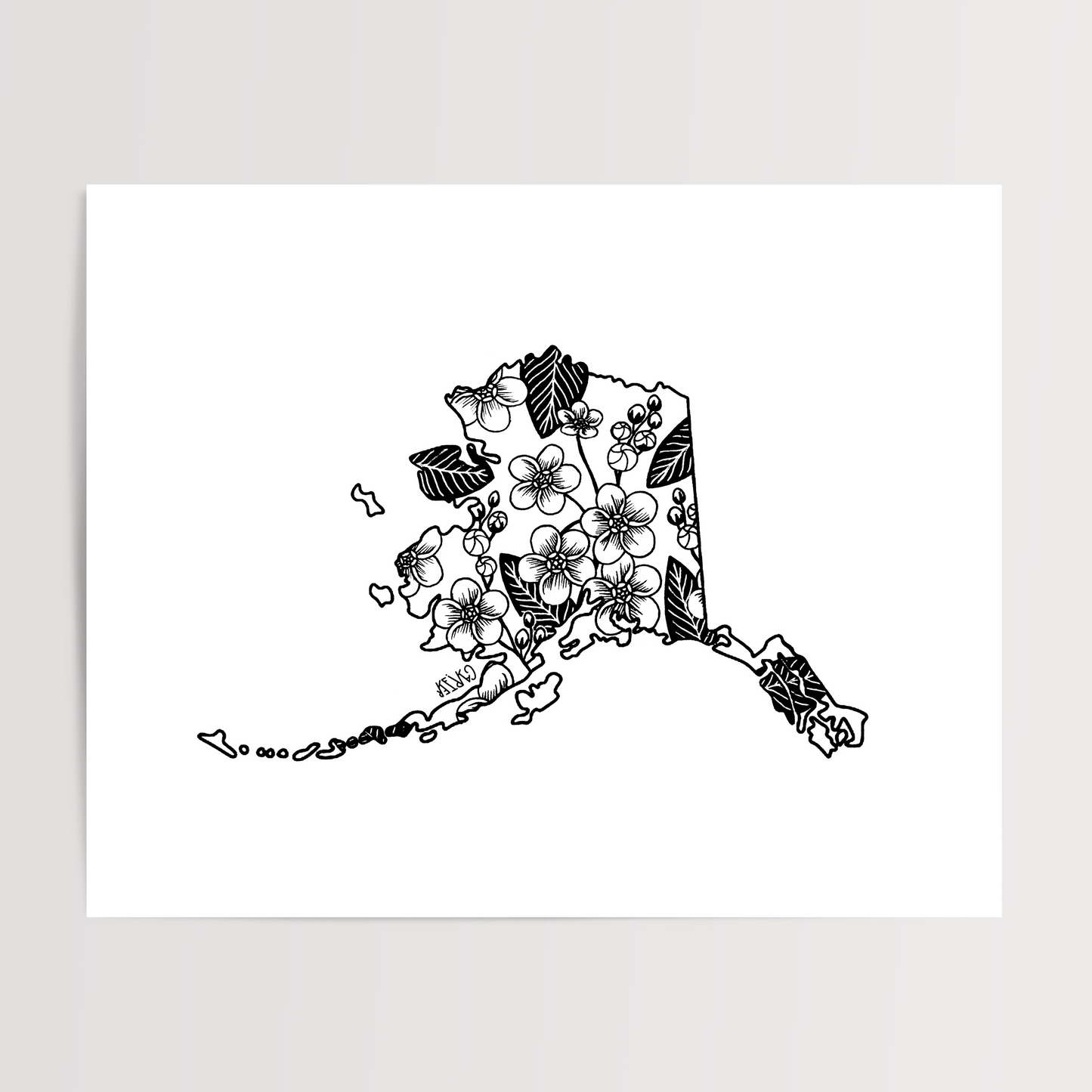 Alaska - Forget Me Not State Flower Print