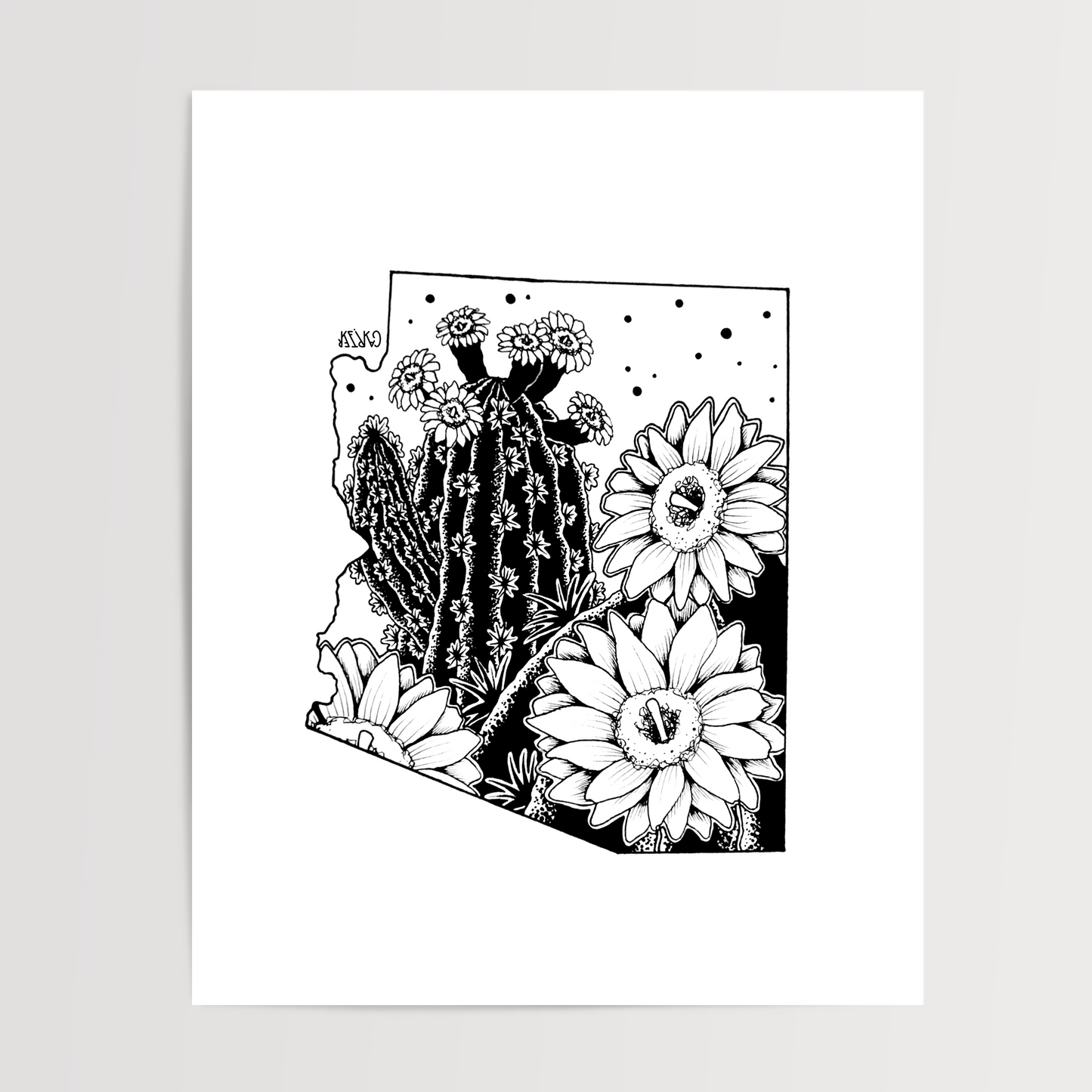 Arizona - Sagauro Cactus Blossom State Flower Print