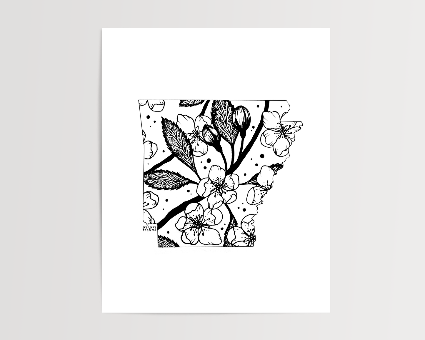Arkansas - Apple Blossom State Flower Print