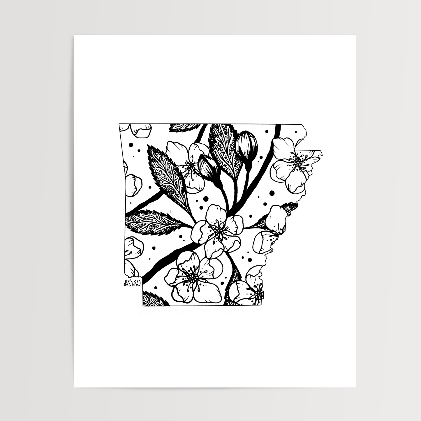 Arkansas - Apple Blossom State Flower Print
