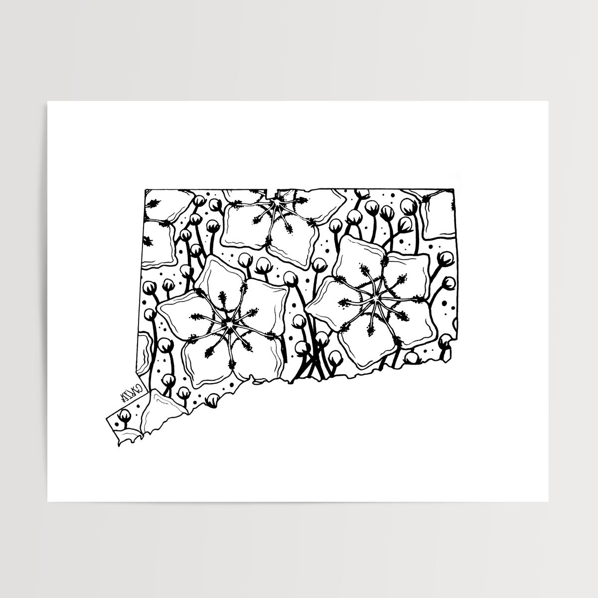 Connecticut - Mountain Laurel State Flower Print