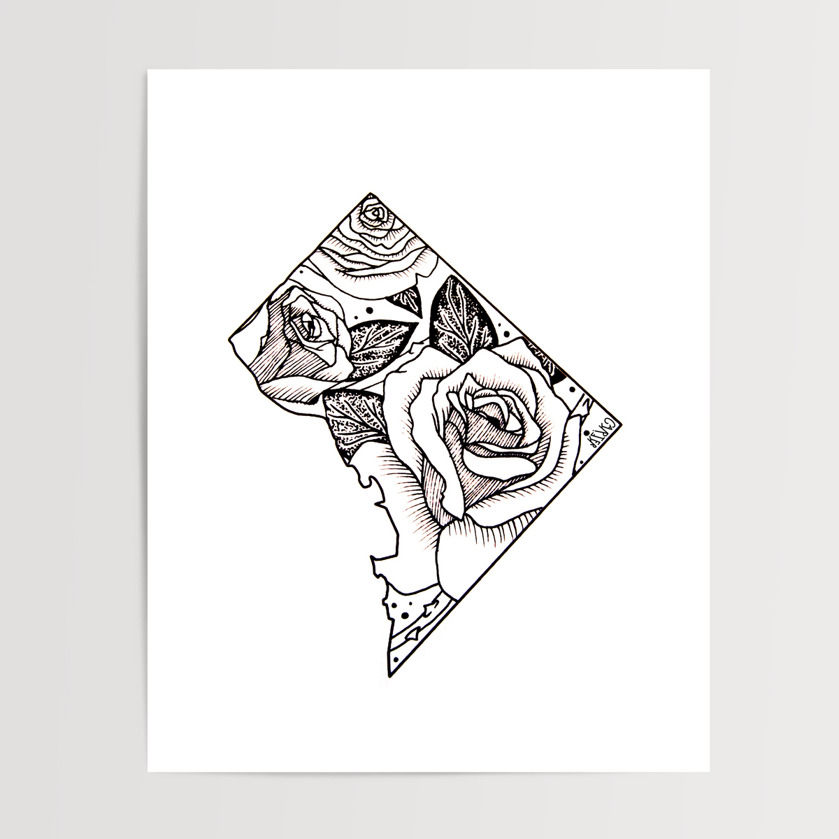 District of Columbia - American Beauty Rose State Flower Print