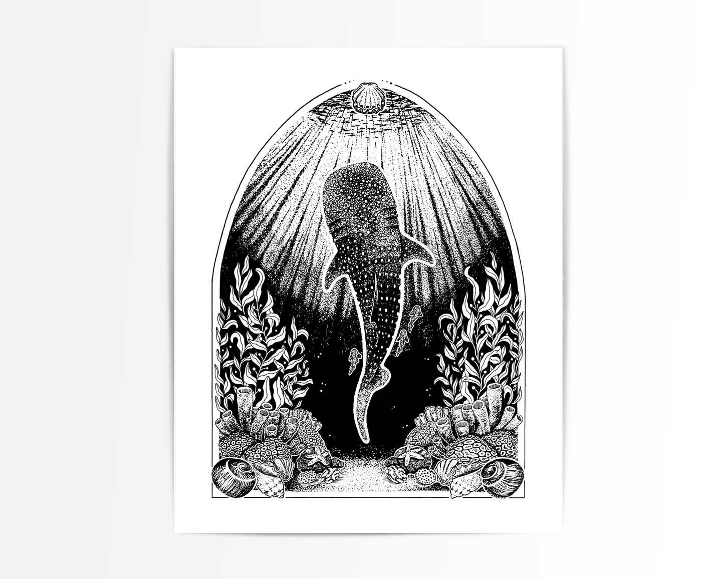 Whale Shark Art Print