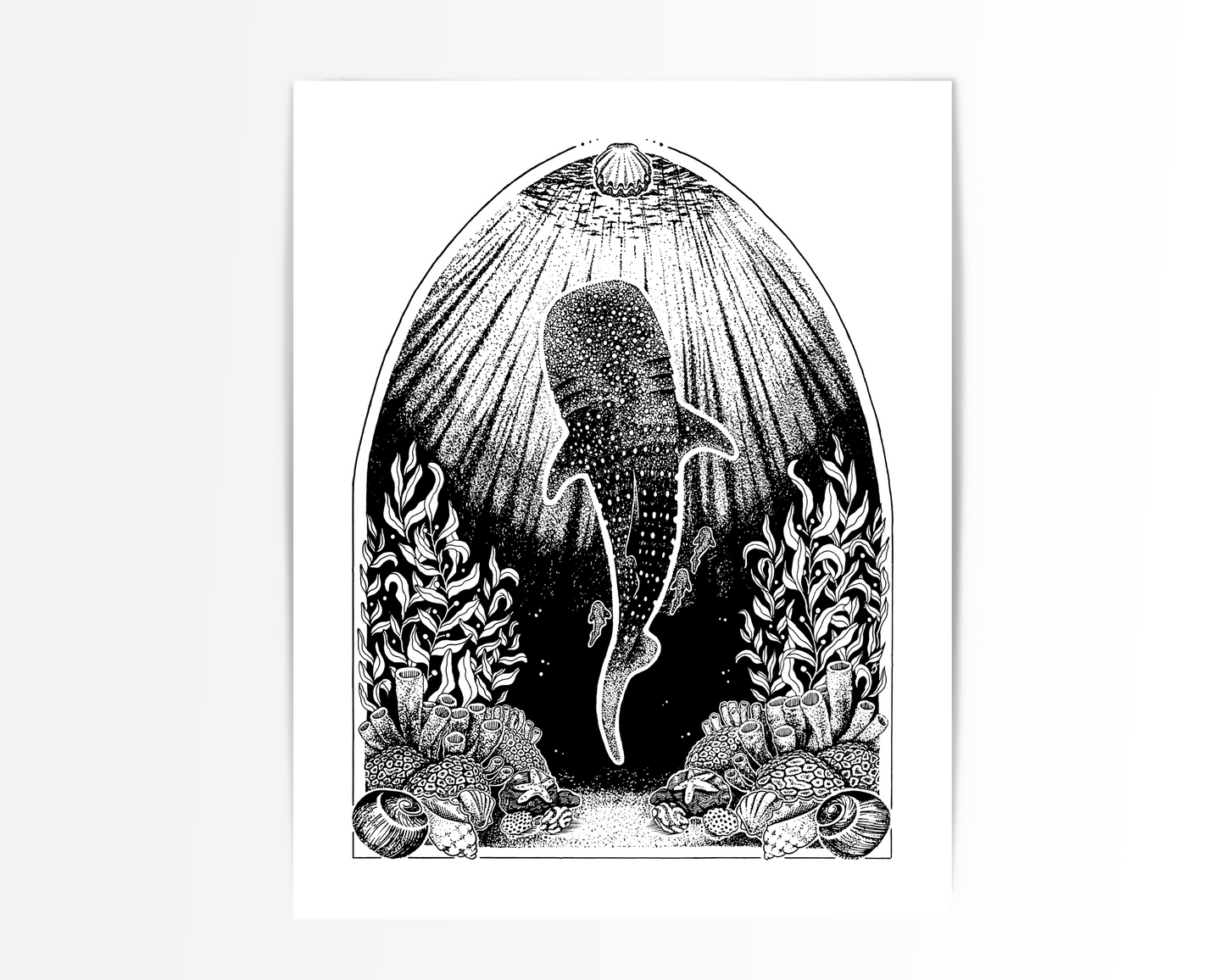 Whale Shark Art Print