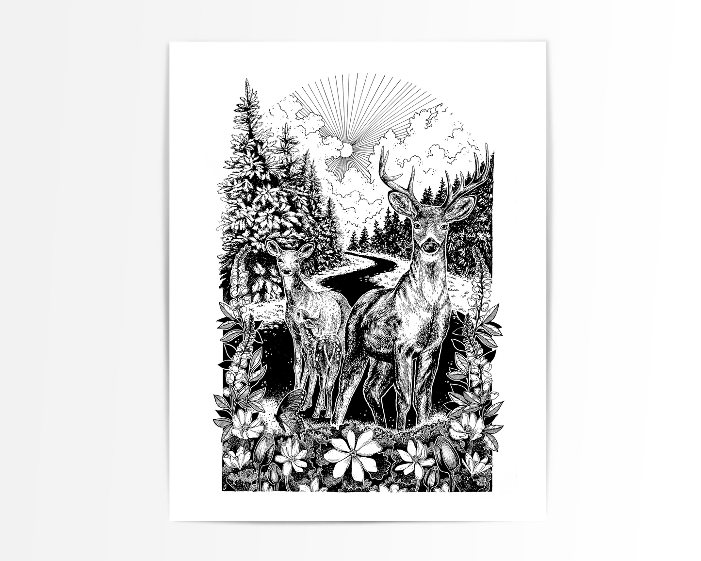 White Tailed Deer Family Print