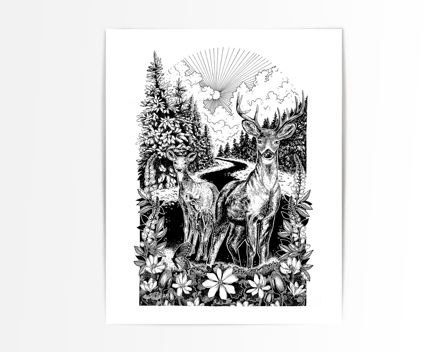 White Tailed Deer Family Print