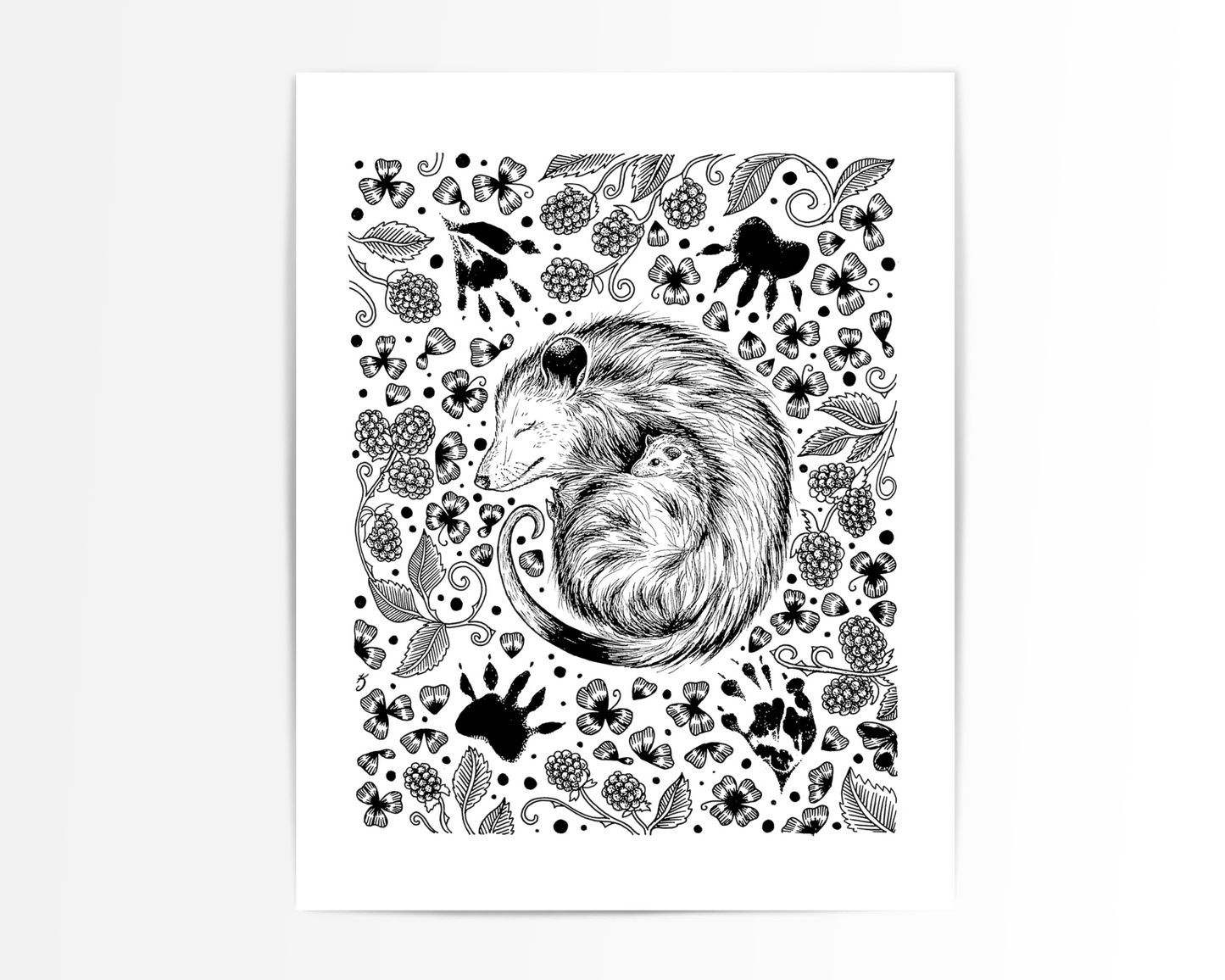 Mother Opossum Impressions Art Print