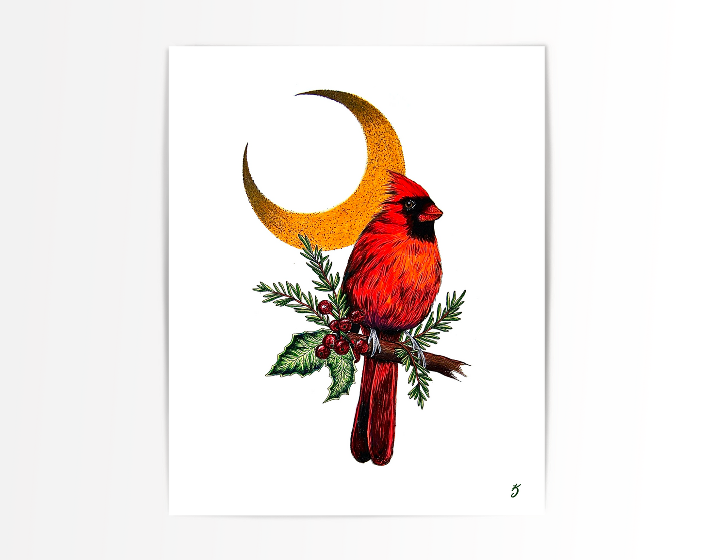 Cardinal & Holly Berries Art Print