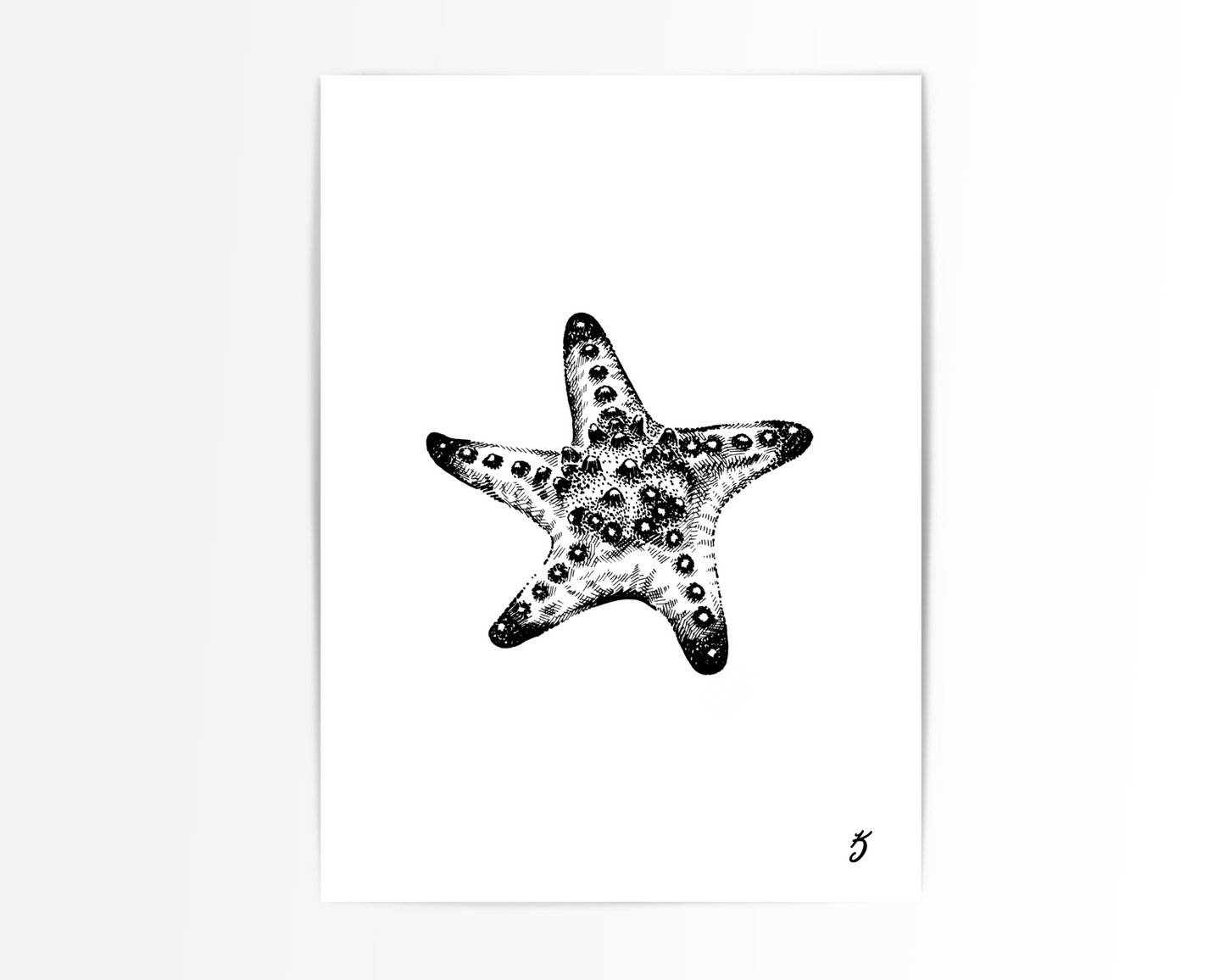 Red Horned Starfish Art Print