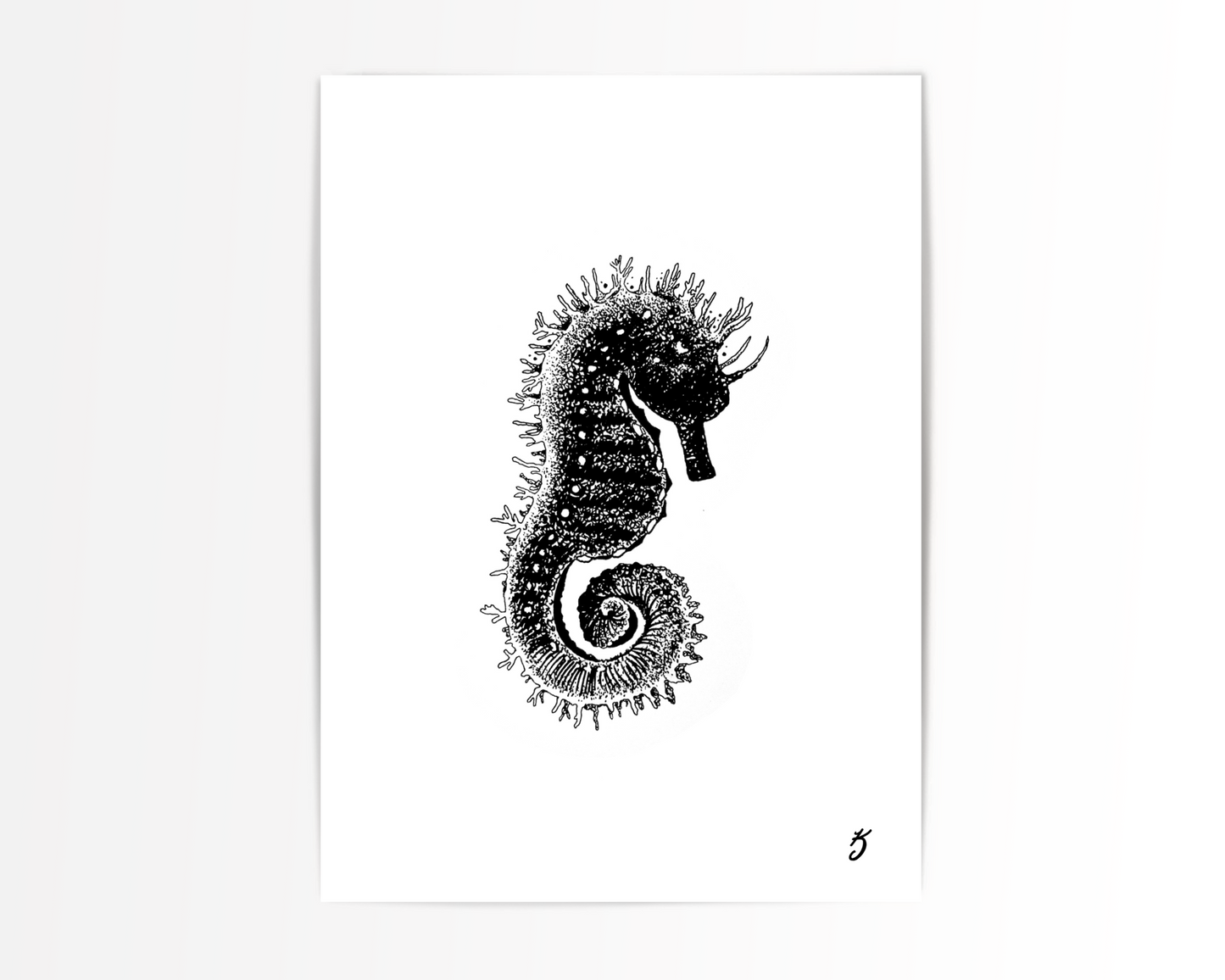 Spiny Seahorse Art Print