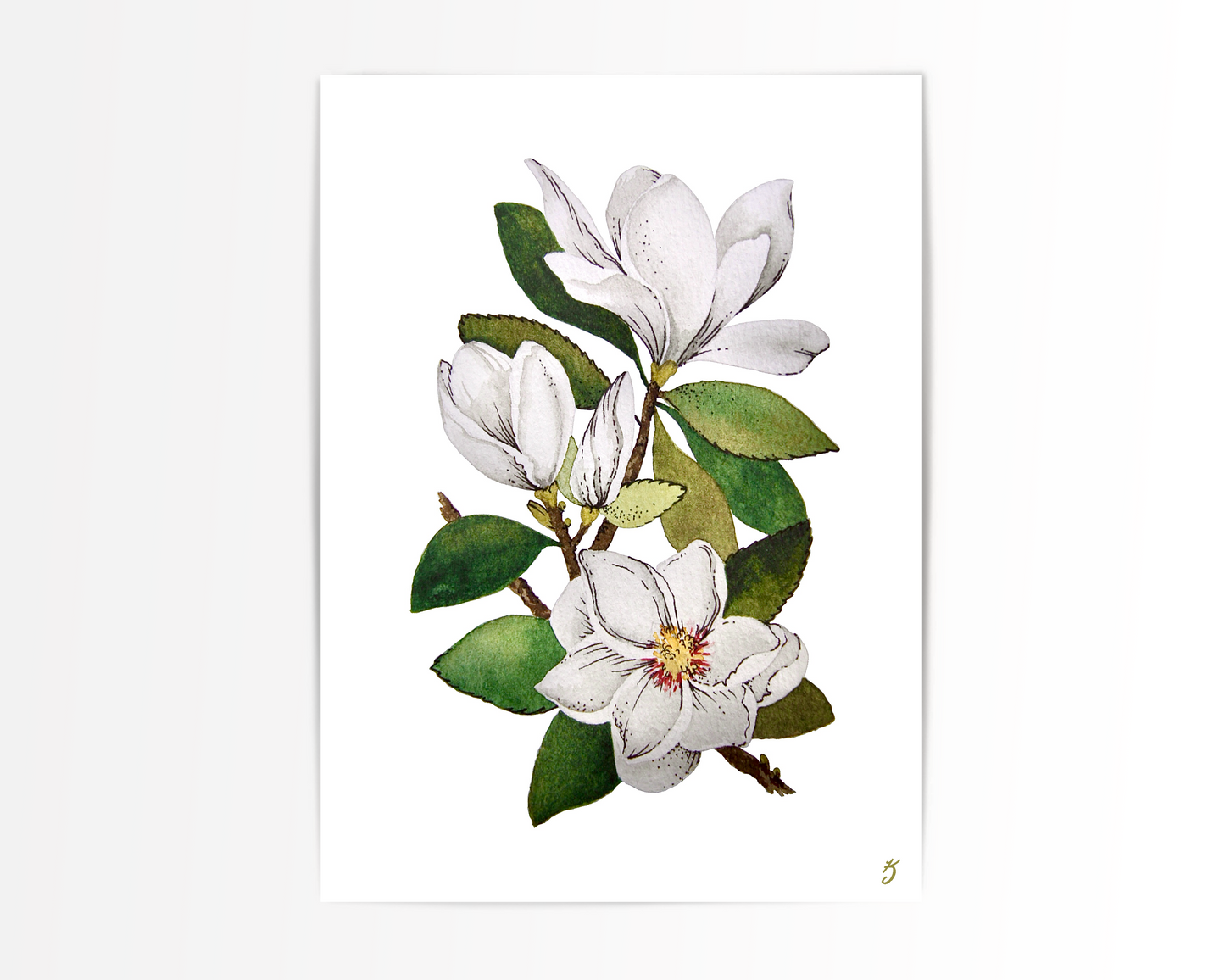 Magnolia’s Art Print