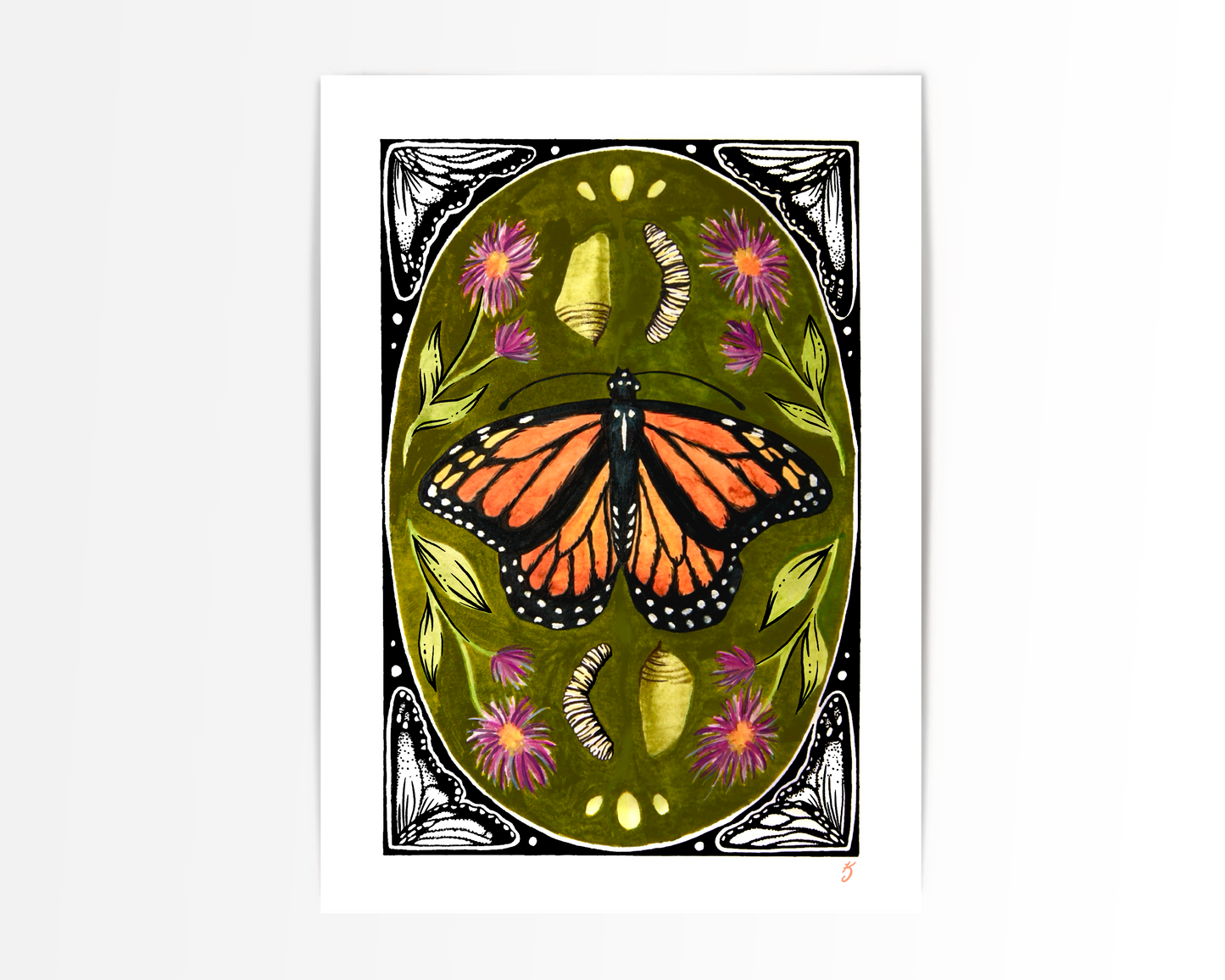 Life of the Monarch Butterfly Art Print