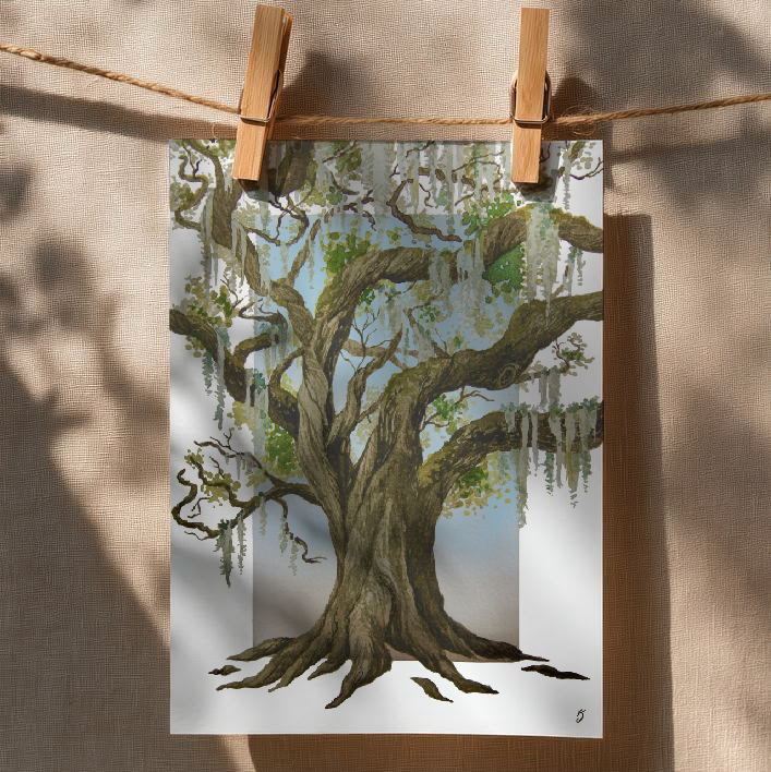 Live Oak Art Print