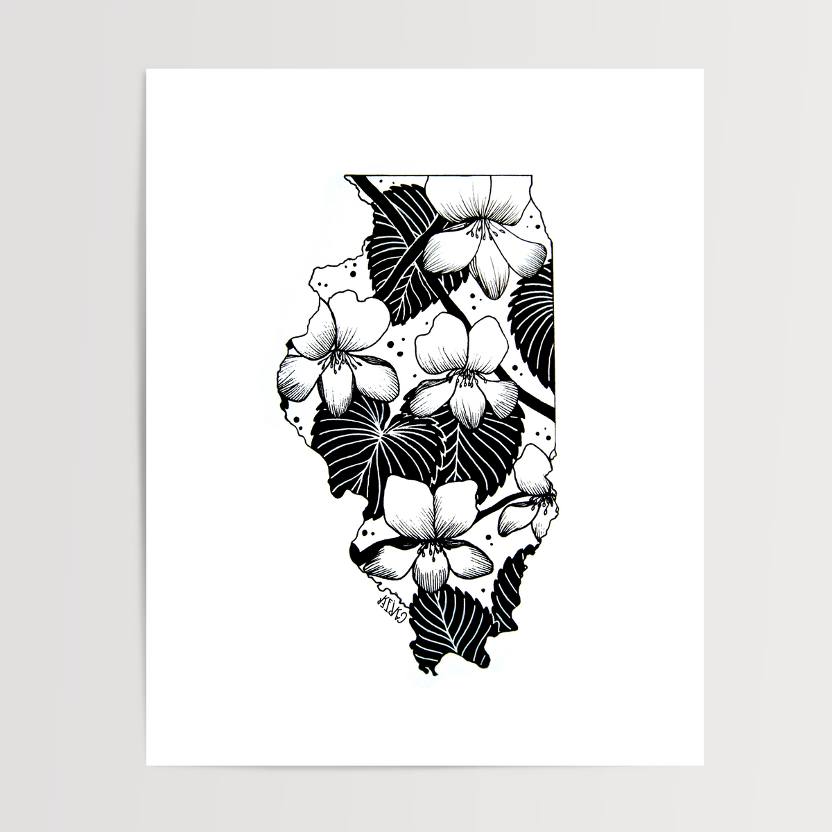 Illinois - Violet State Flower Print
