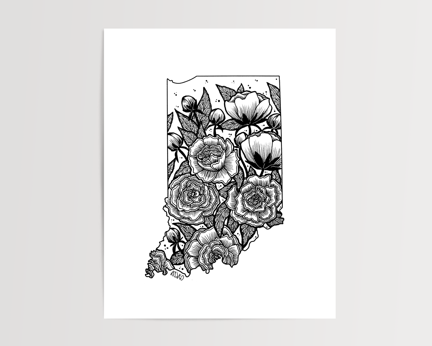 Indiana - Peony State Flower Print
