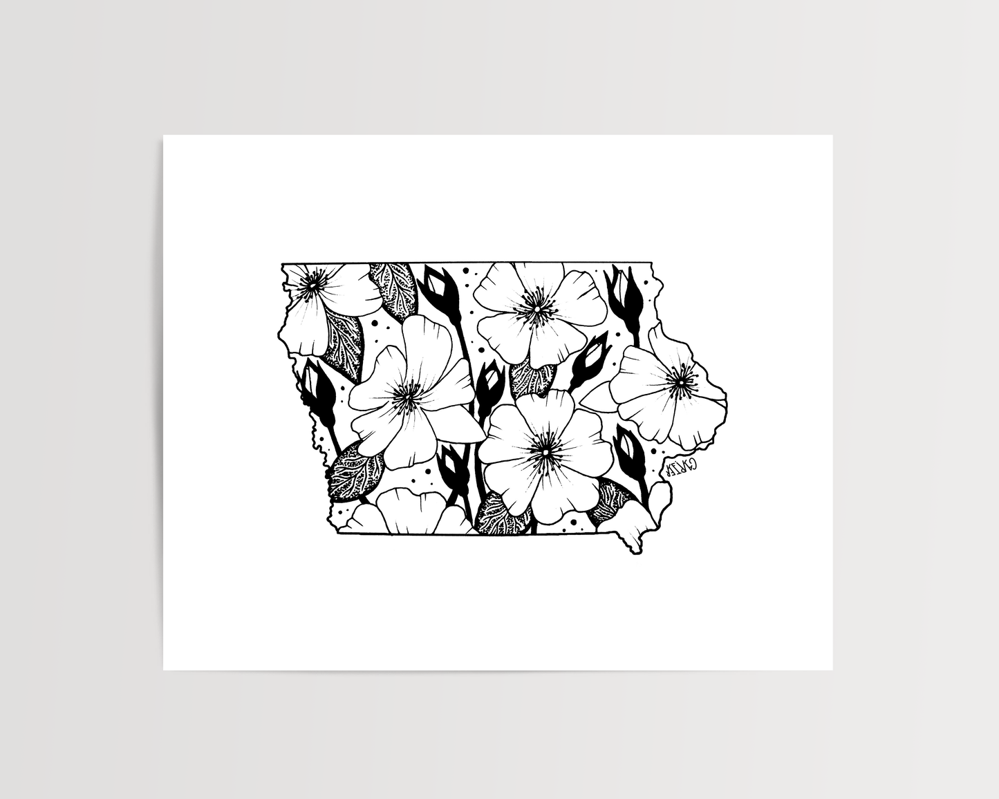 Iowa - Wild Prairie Rose State Flower Print
