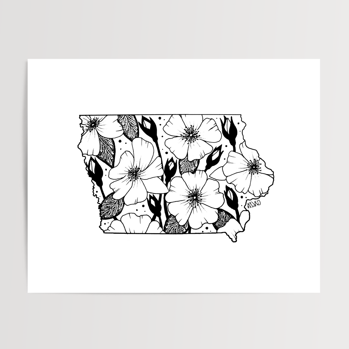 Iowa - Wild Prairie Rose State Flower Print
