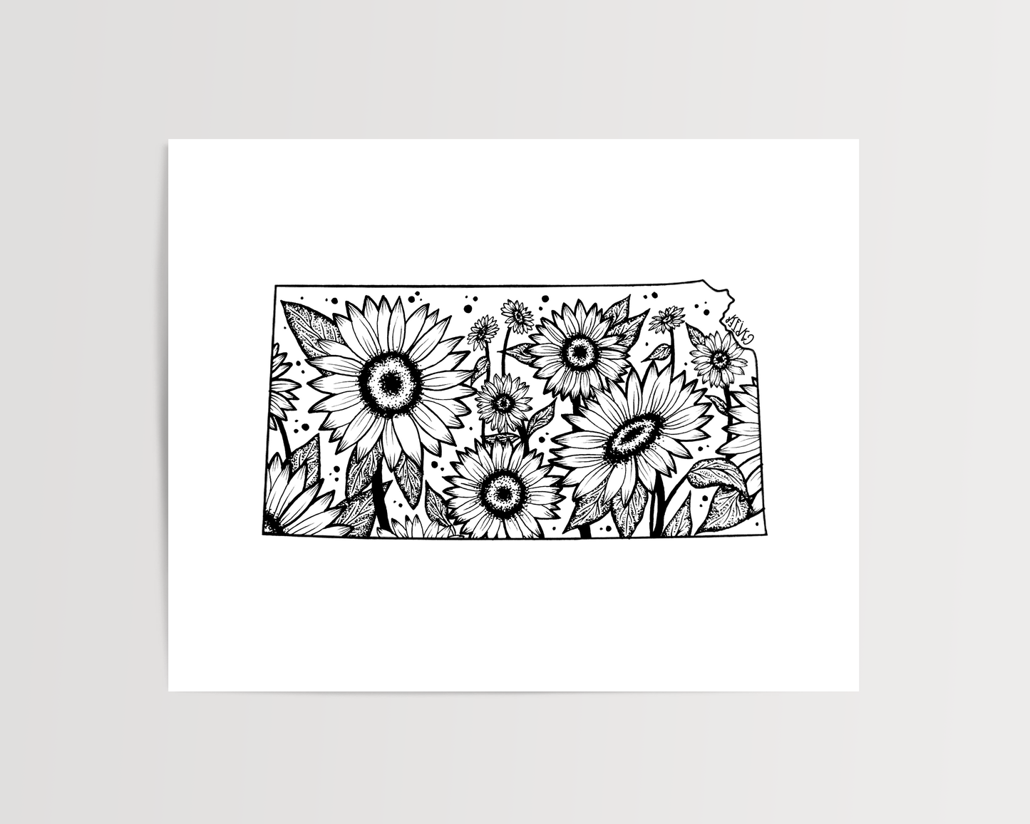 Kansas - Sunflower State Flower Print
