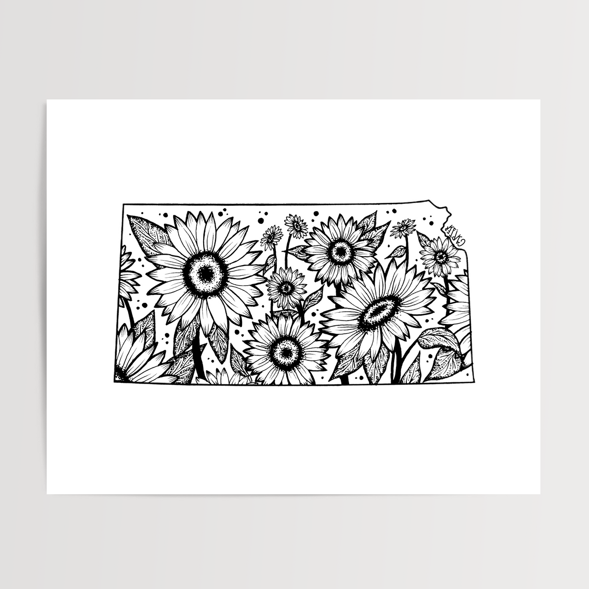 Kansas - Sunflower State Flower Print