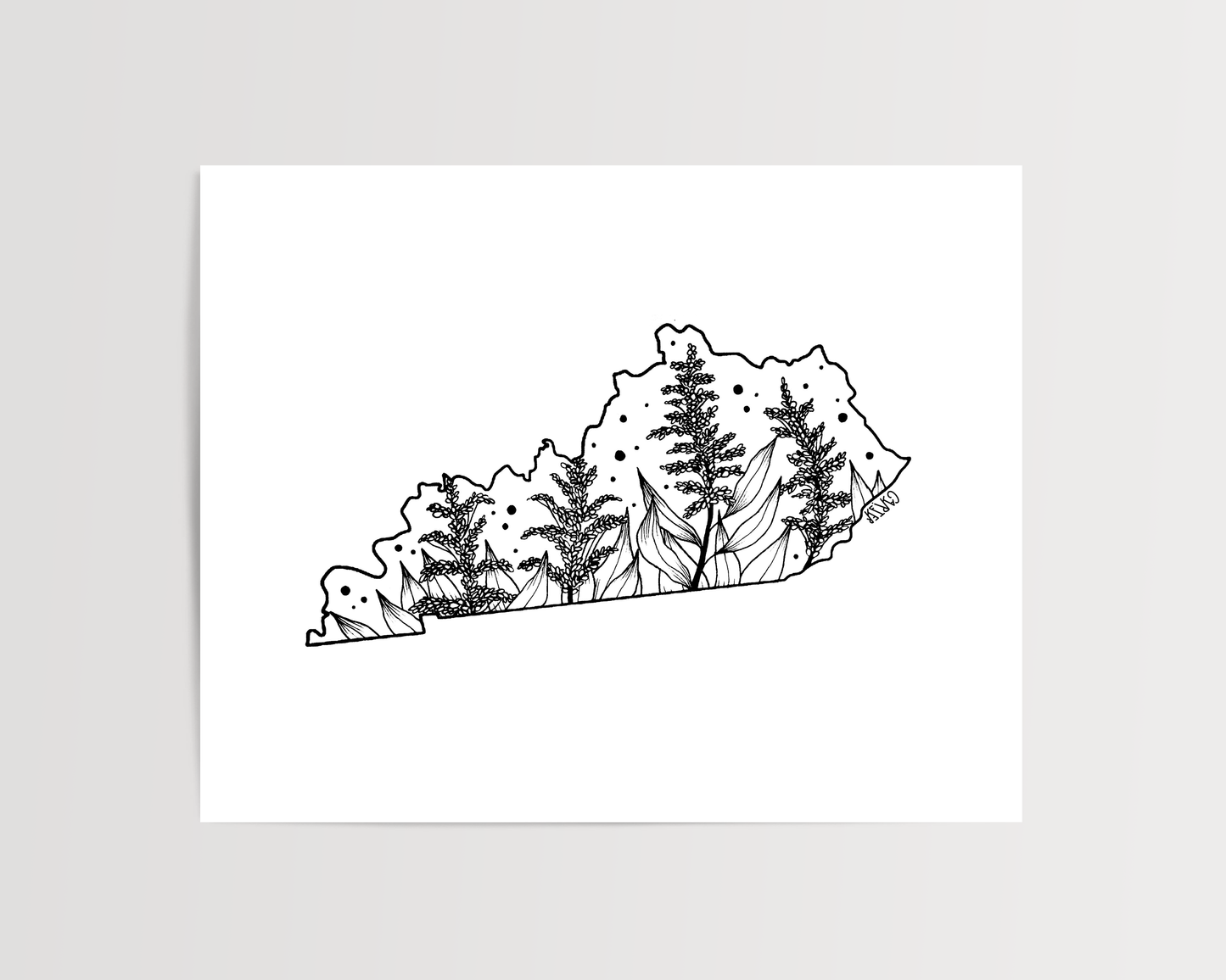 Kentucky - Goldenrod State Flower Print