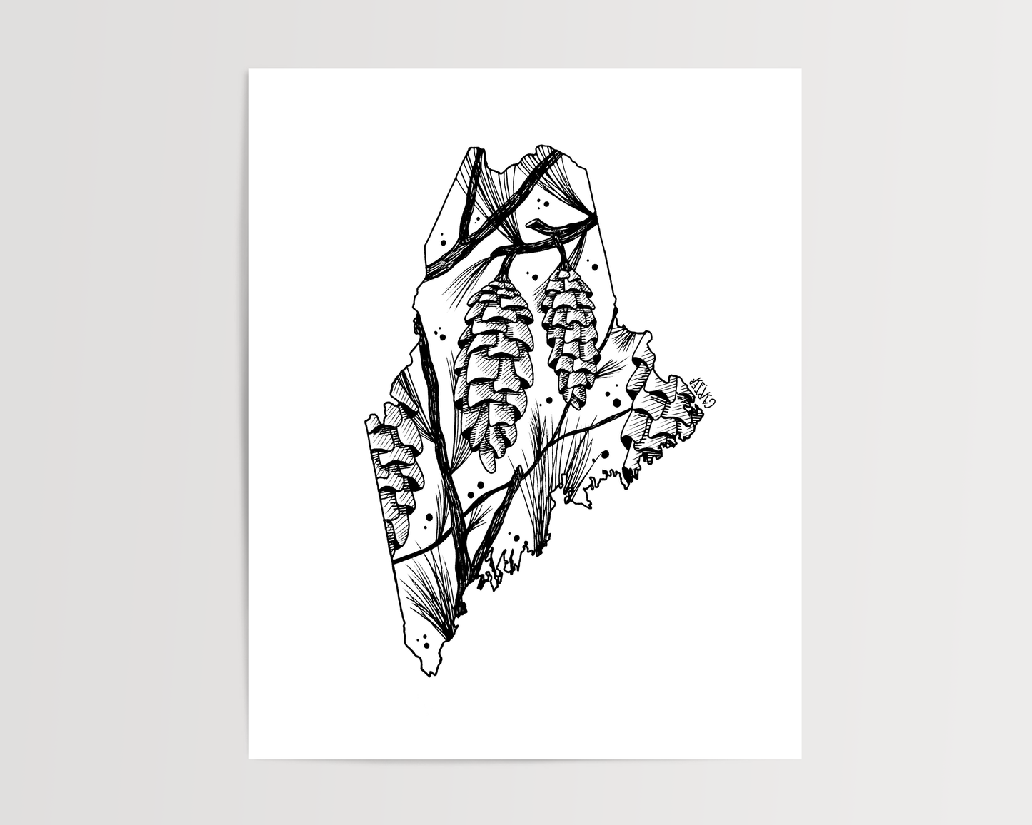 Maine - White Pine Cone State Flower Print