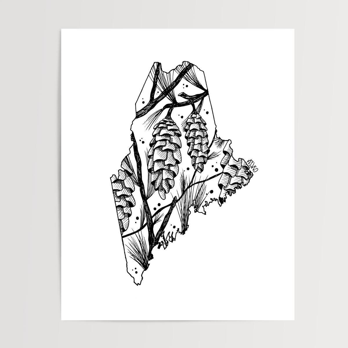 Maine - White Pine Cone State Flower Print