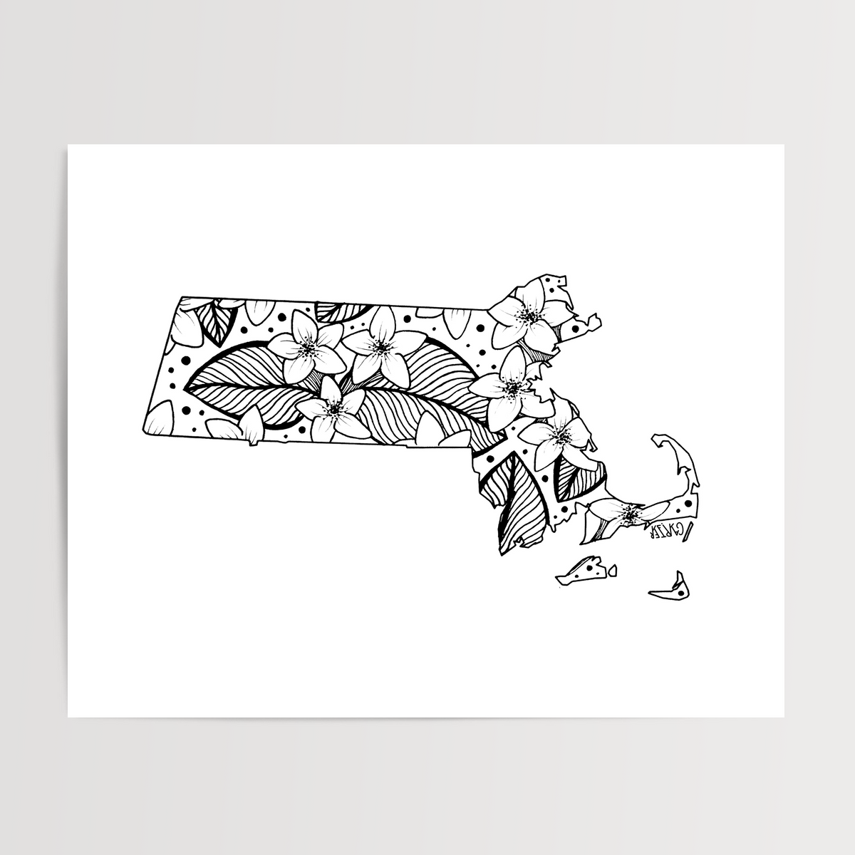 Massachusetts - Mayflower State Flower Print
