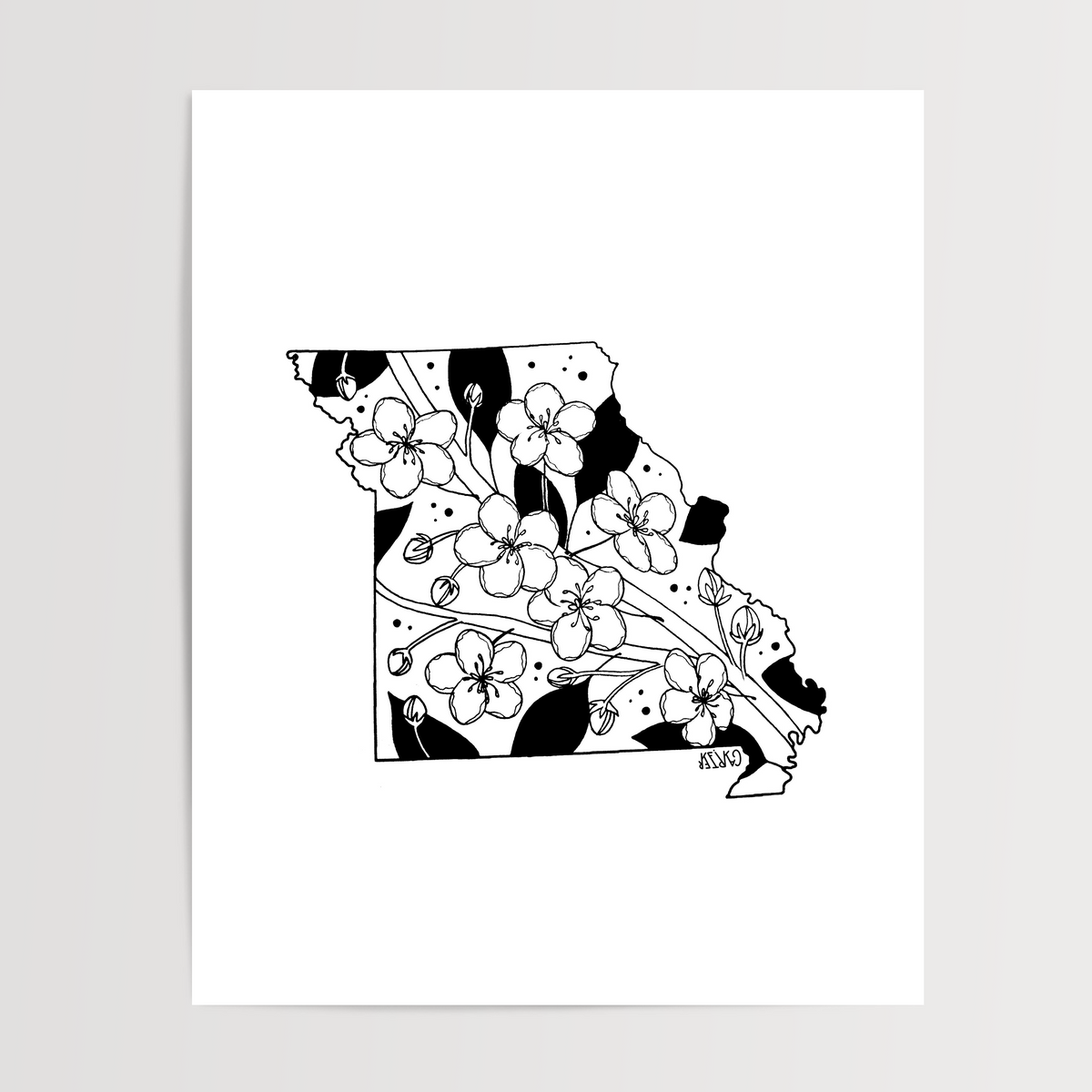 Missouri - Hawthorn State Flower Print