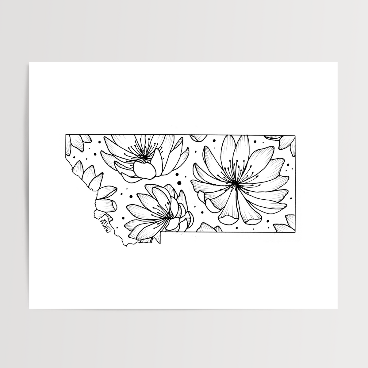Montana - Bitterroot State Flower Print