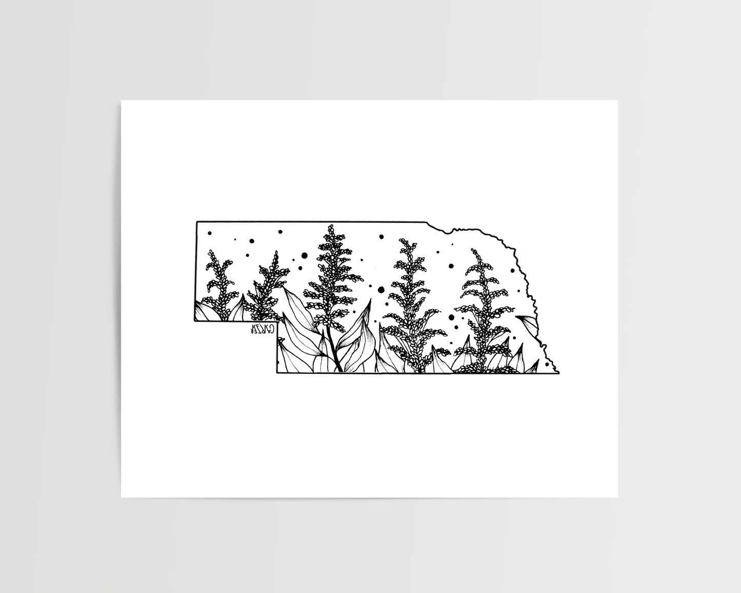 Nebraska - Goldenrod State Flower Print