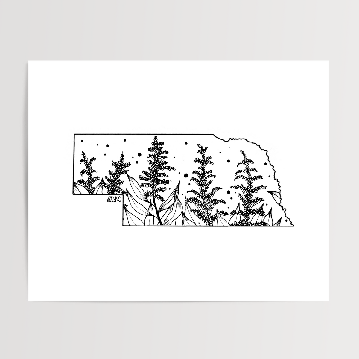 Nebraska - Goldenrod State Flower Print