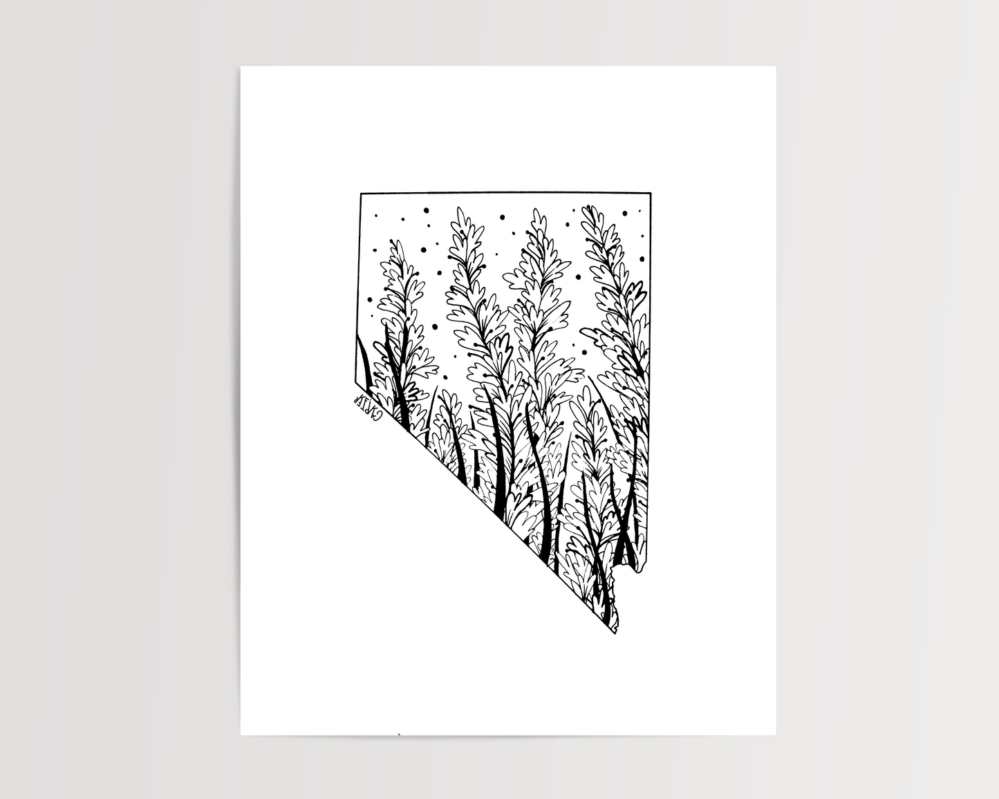 Nevada - Sagebrush State Flower Print