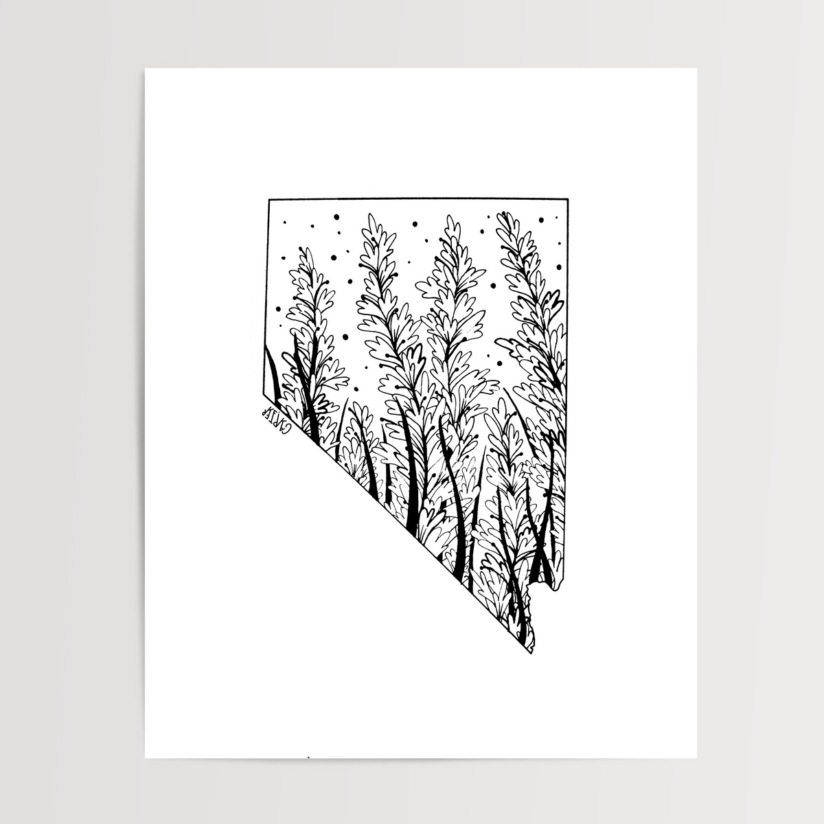 Nevada - Sagebrush State Flower Print