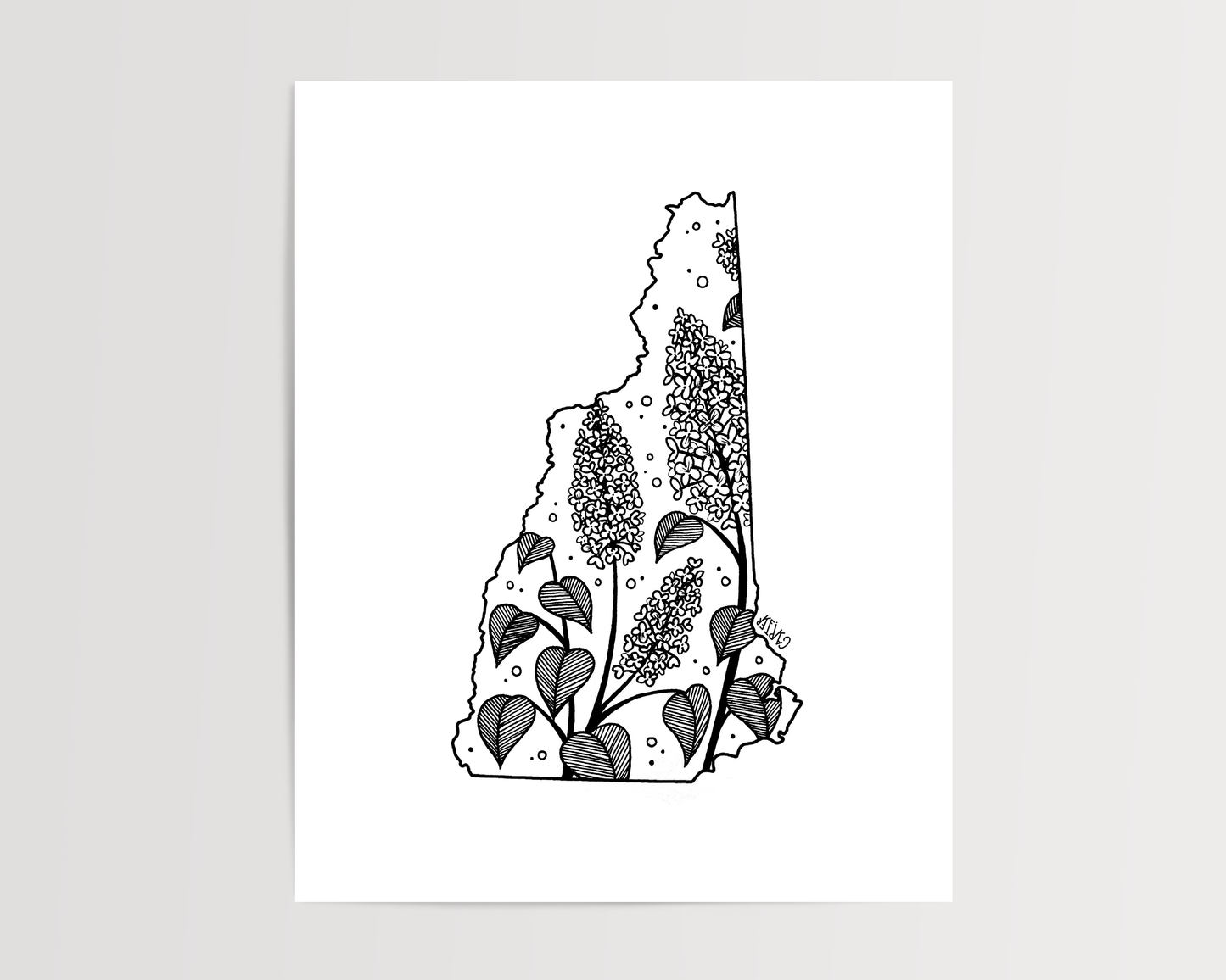 New Hampshire - Purple Lilac State Flower Print