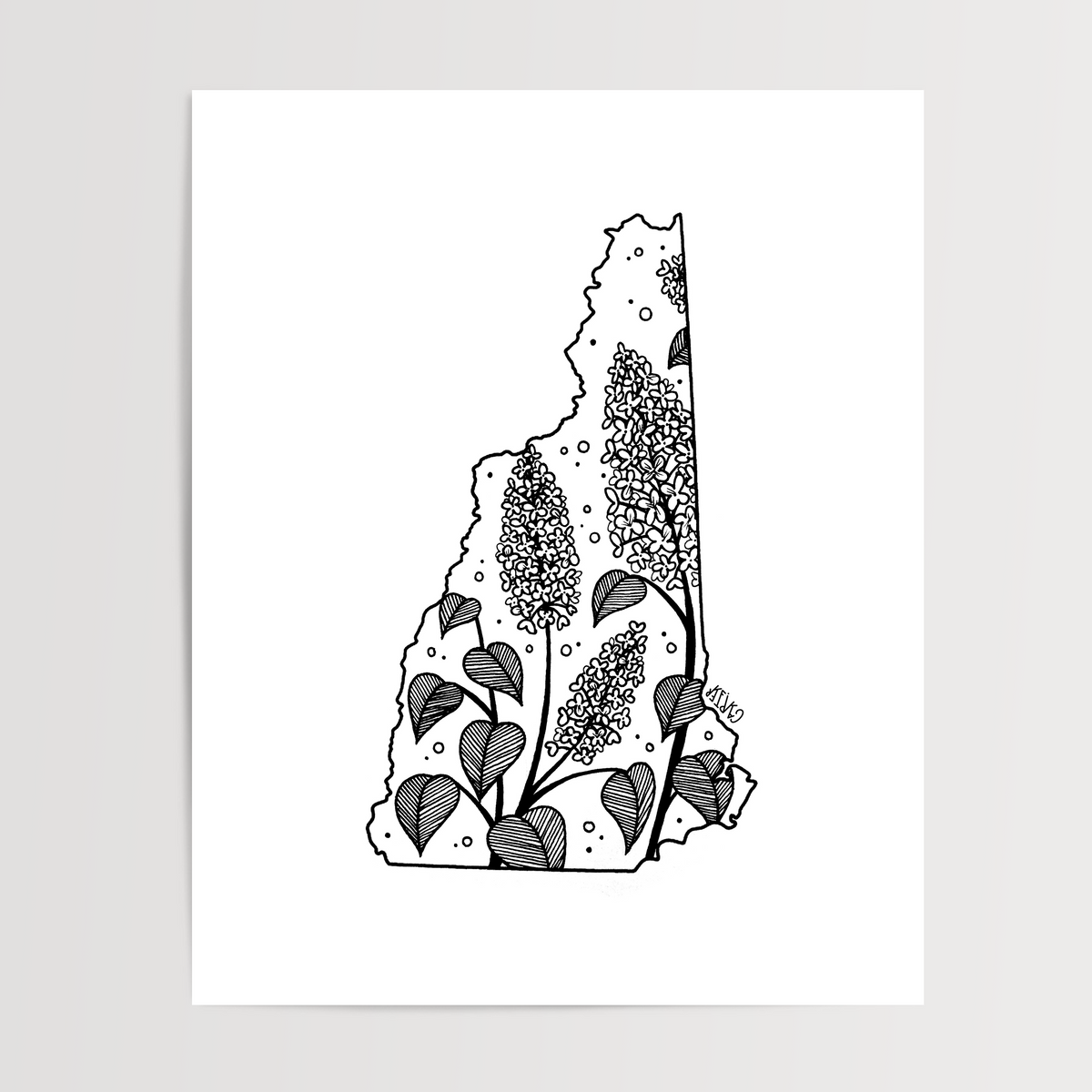 New Hampshire - Purple Lilac State Flower Print