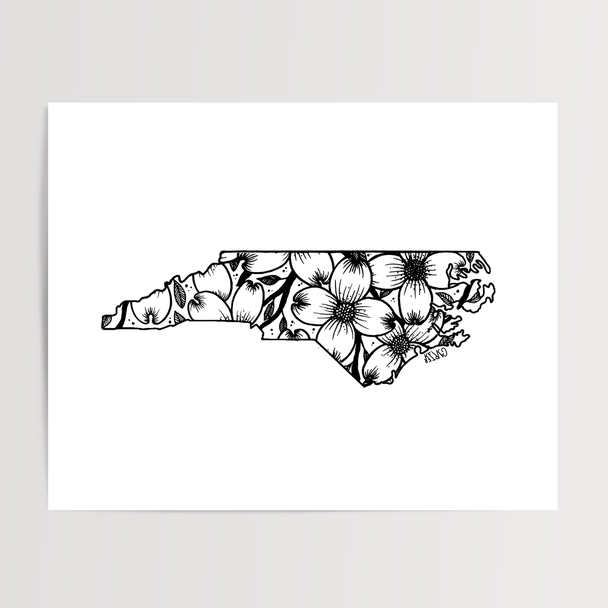 North Carolina - Flowering Dogwood State Flower Print