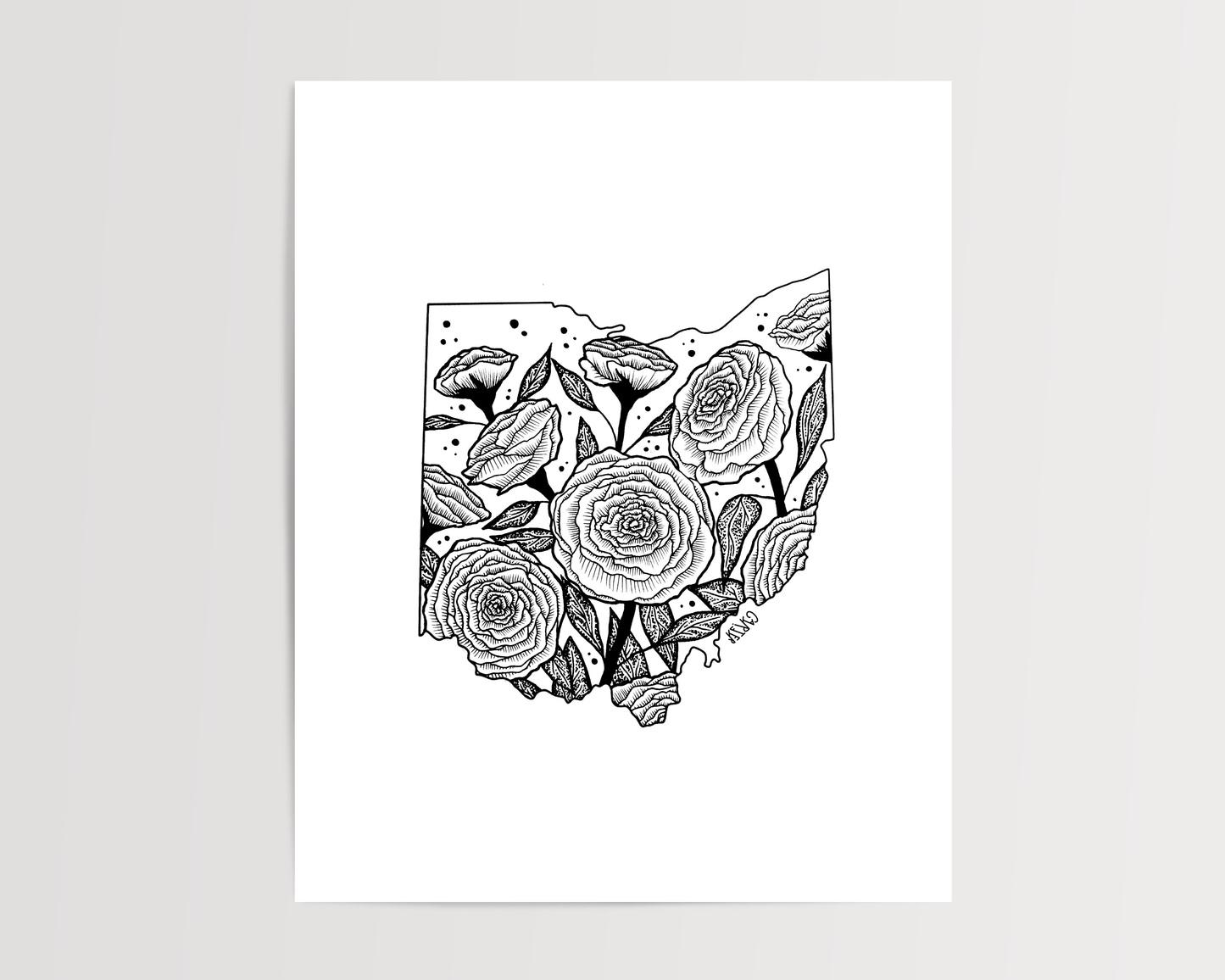 Ohio - Scarlet Carnation State Flower Print