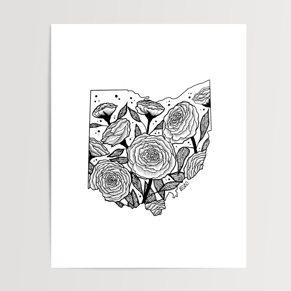 Ohio - Scarlet Carnation State Flower Print