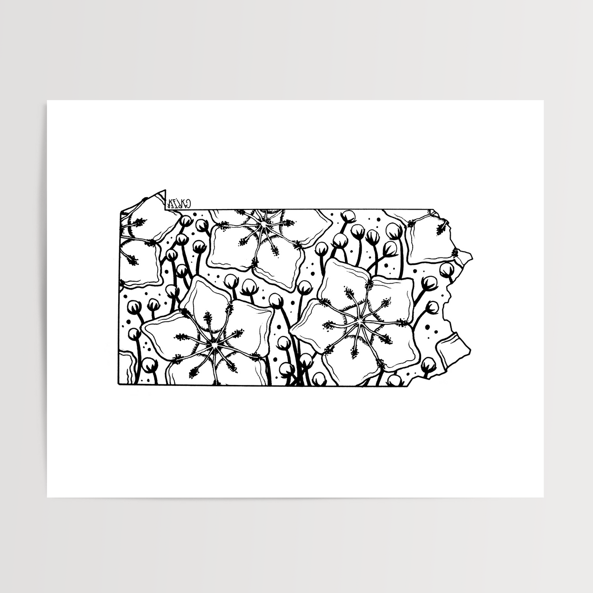 Pennsylvania - Mountain Laurel State Flower Print