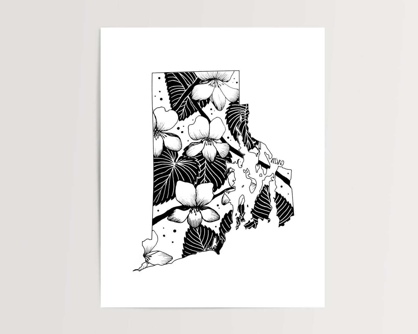 Rhode Island - Violet State Flower Print