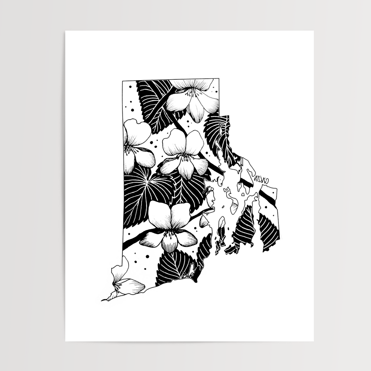 Rhode Island - Violet State Flower Print