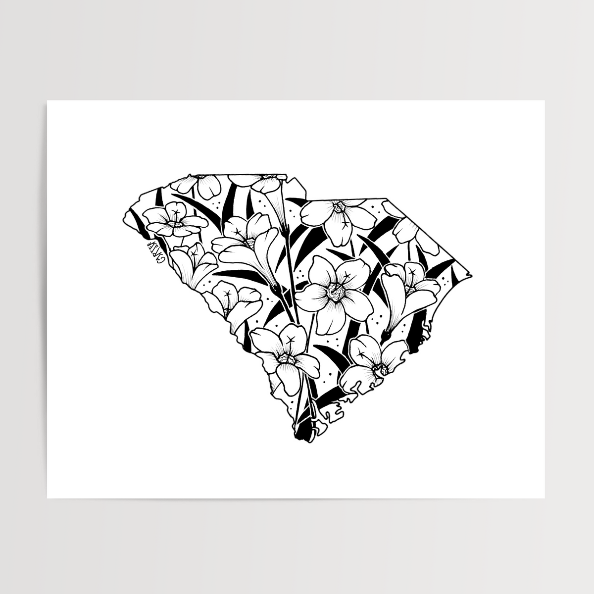 South Carolina - Yellow Jessamine State Flower Print