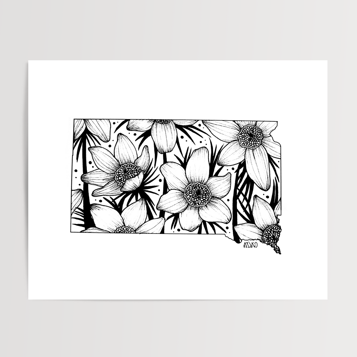 South Dakota - Pasque Flower State Flower Print