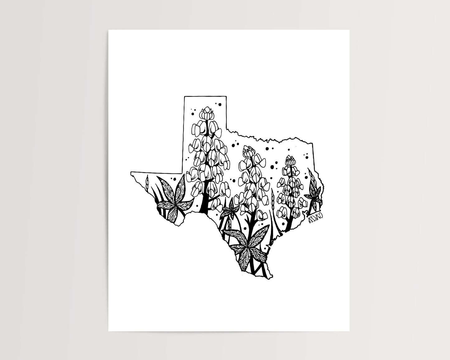 Texas - Bluebonnet State Flower Print