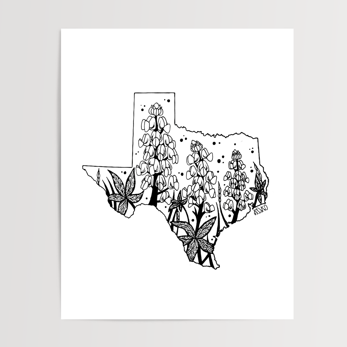Texas - Bluebonnet State Flower Print