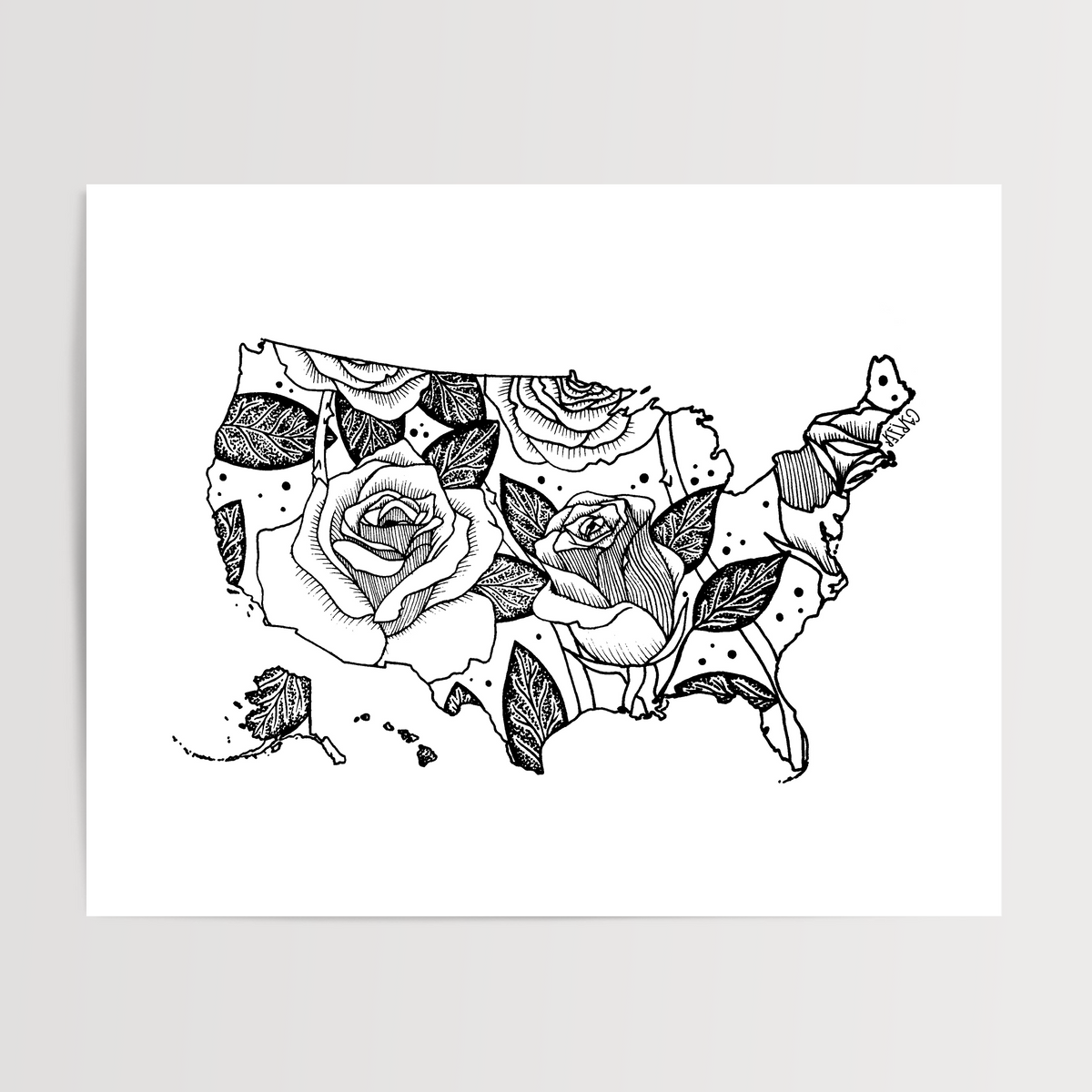 USA - Rose State Flower Print
