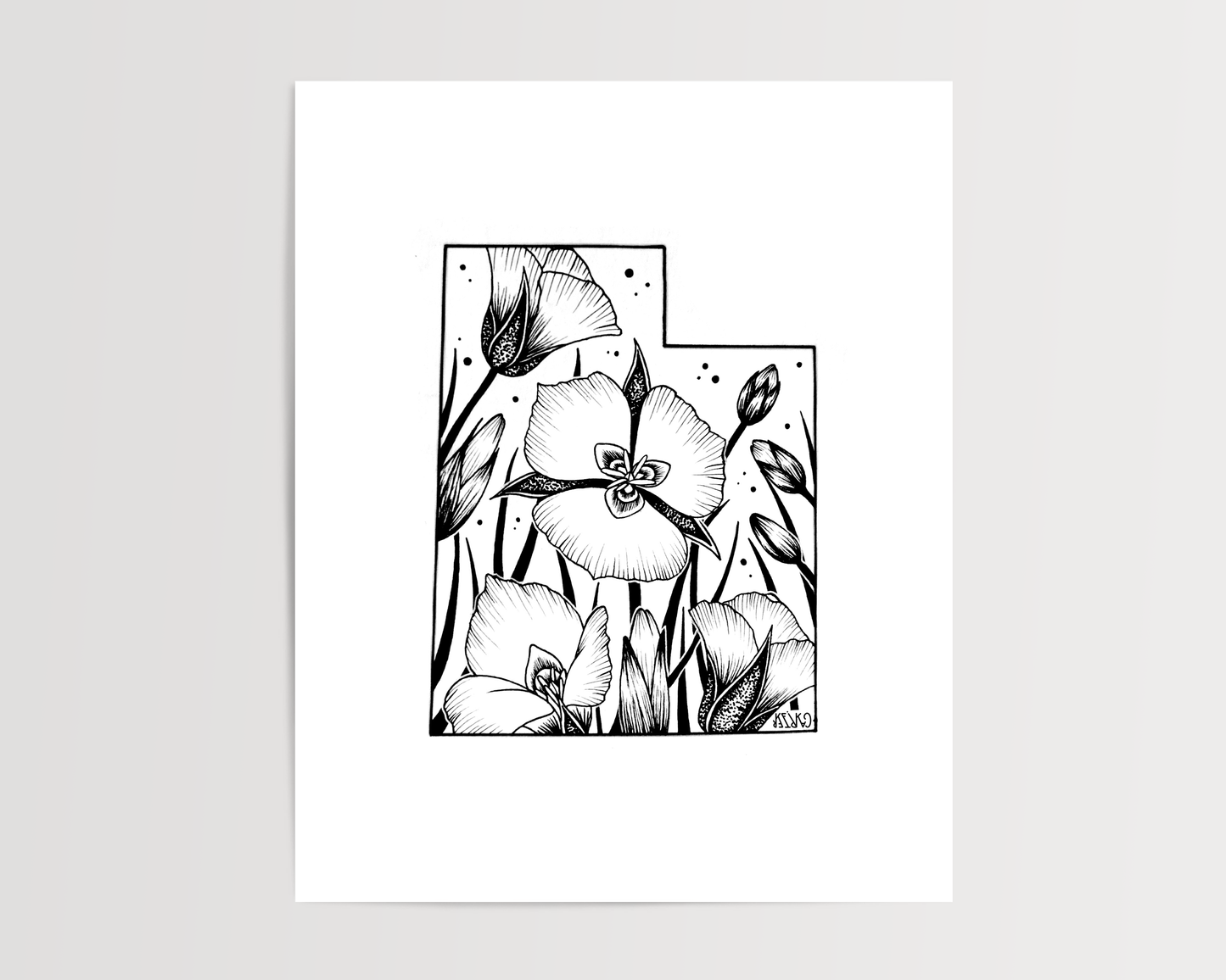 Utah - Sego Lily State Flower Print