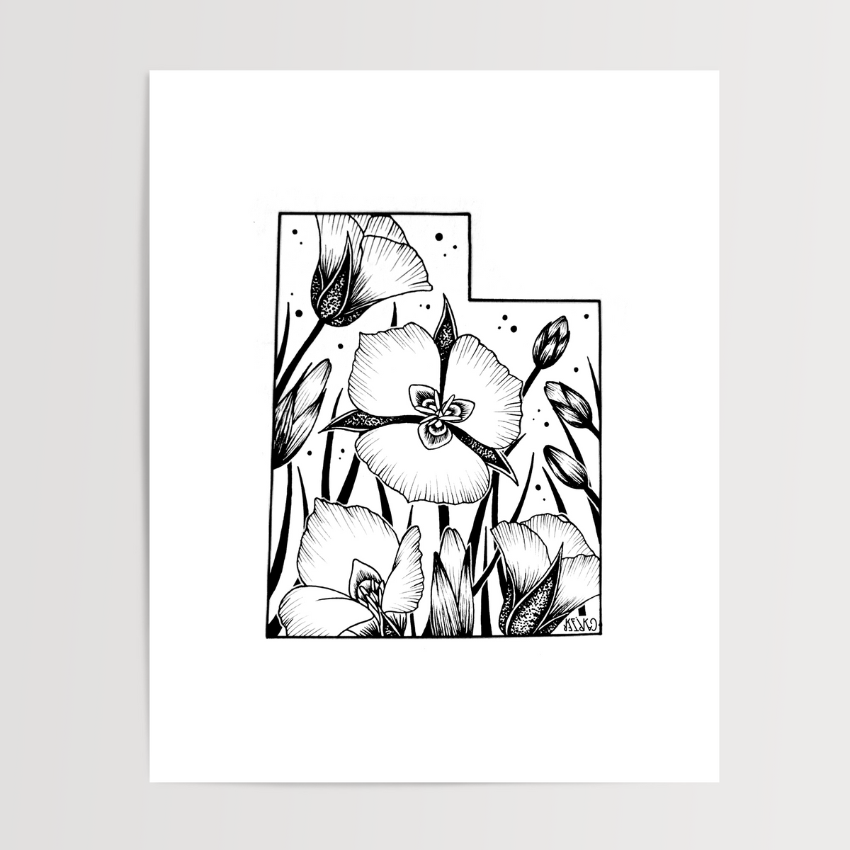 Utah - Sego Lily State Flower Print