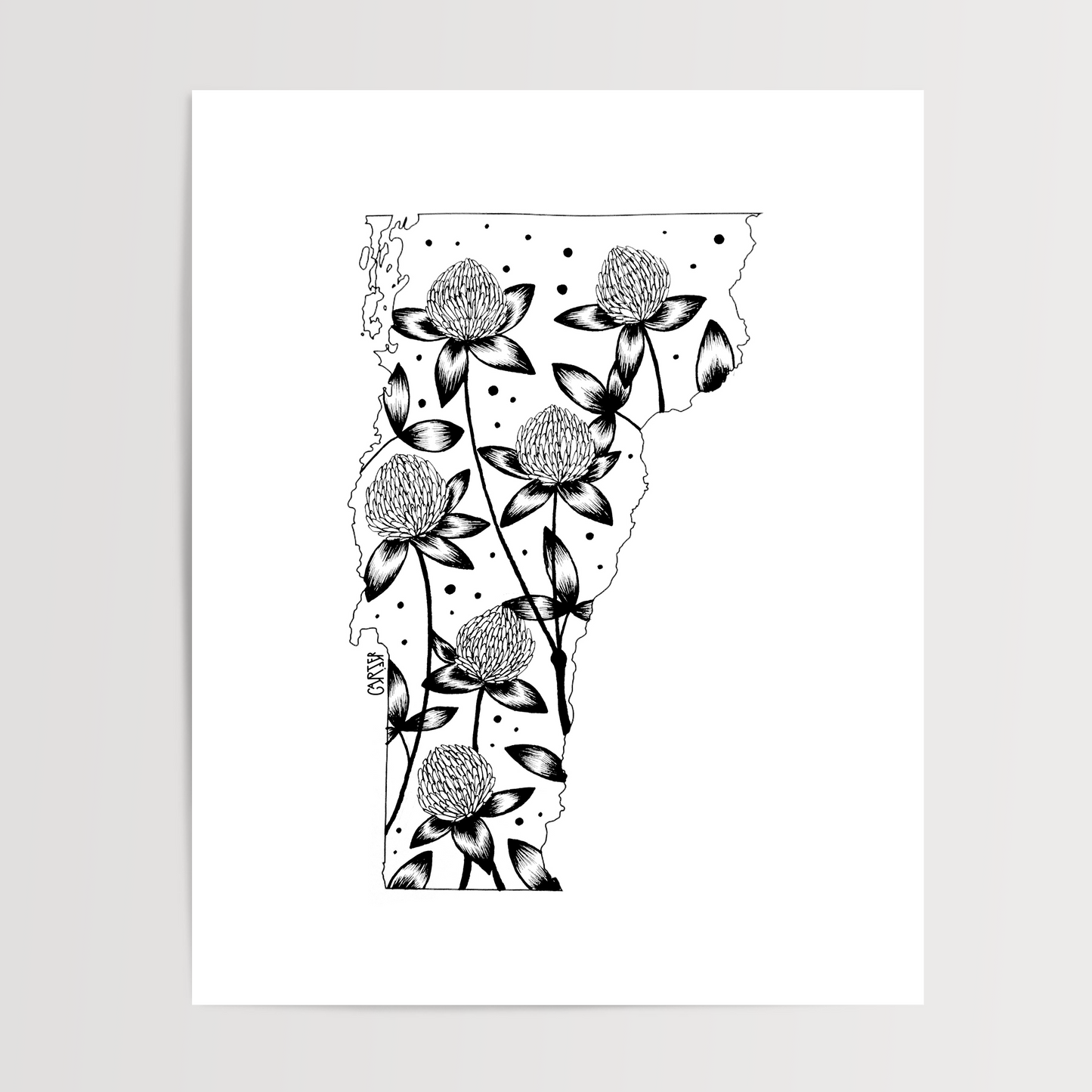 Vermont - Red Clover State Flower Print