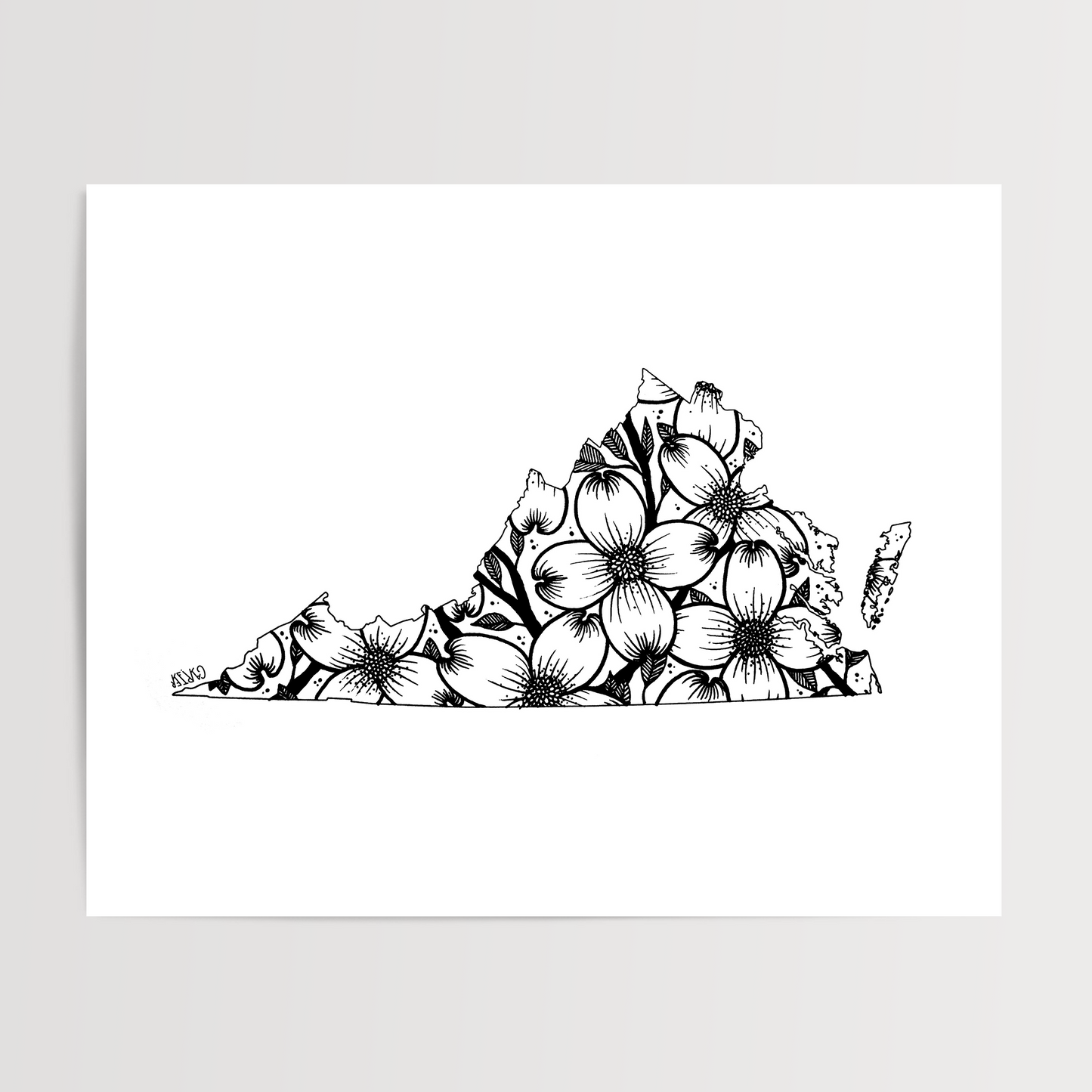 Virginia - American Dogwood State Flower Print